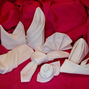 Cloth Napkins White 12 count Washable/ Reusable